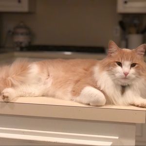 Meet your Posher, Mary kay